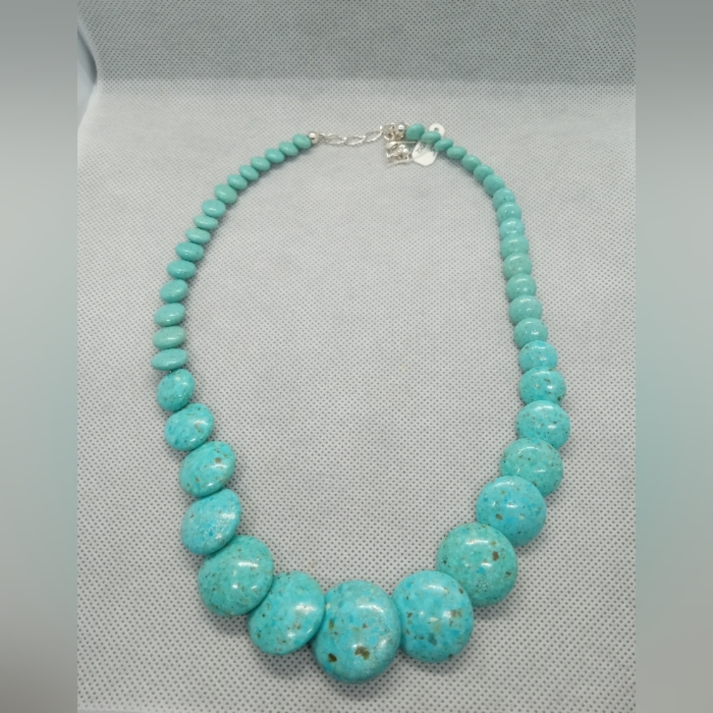 🔥Jay King Graduated Turquoise Disc Neckace